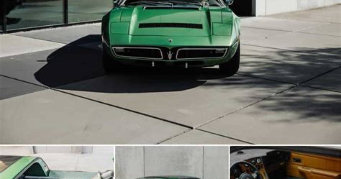 Unveiling the Riches of Eddy Maserati: Discoveries and Insights