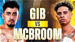 Unveiling the Secrets: Gib Vs. Mcbroom: Insights and Discoveries