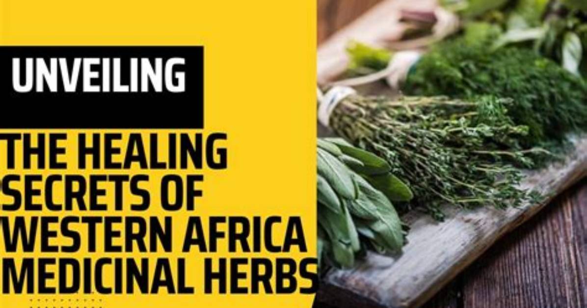 Unveiling the Secrets of Blackstone Herbs and Martini Bar: a Visual Journey