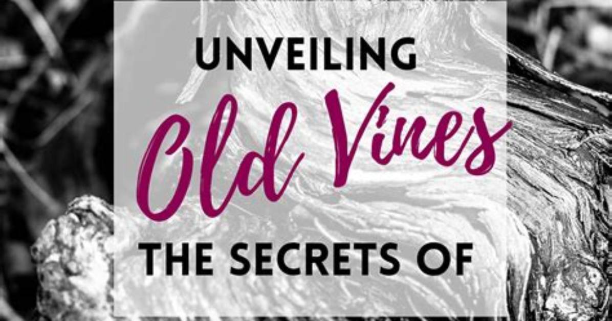Unveiling the Secrets of "How Old Is Ray Emodi"