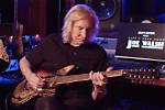 Unveiling the Secrets of Joe Walsh's Height: Discoveries and Insights