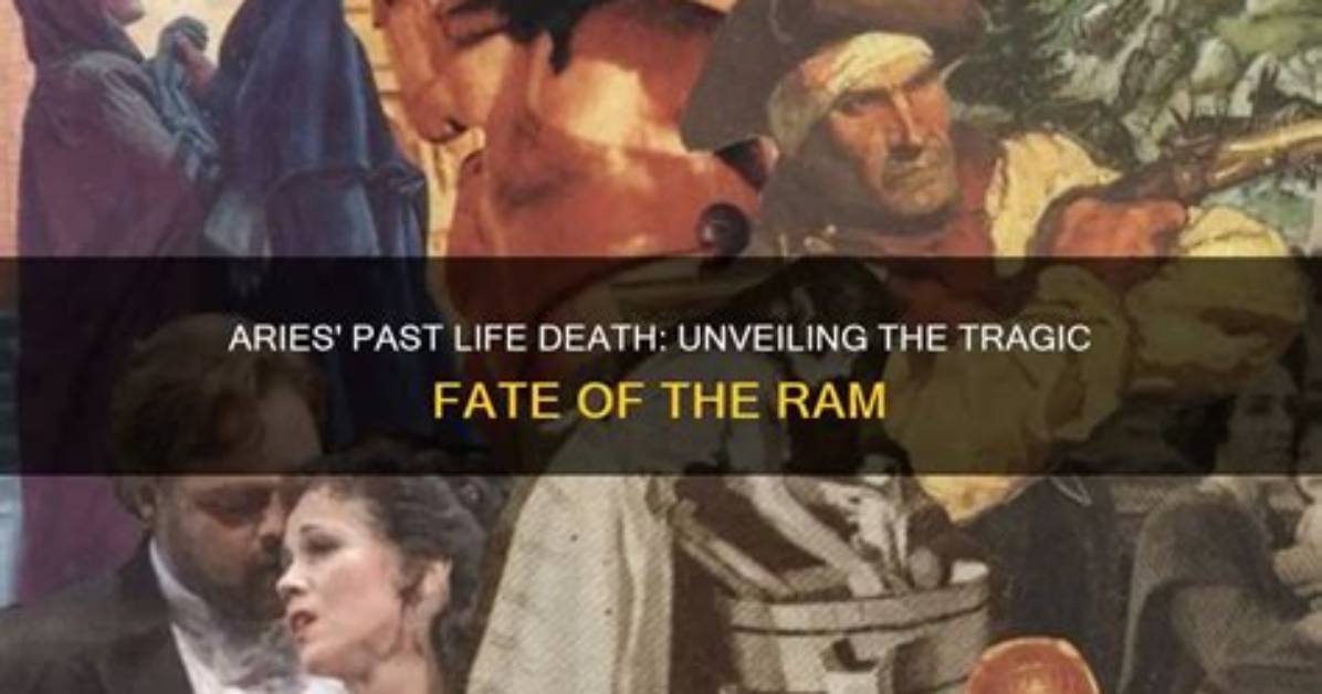 Unveiling the Tragic Fate of Ari: the First Wives Club Dilemma