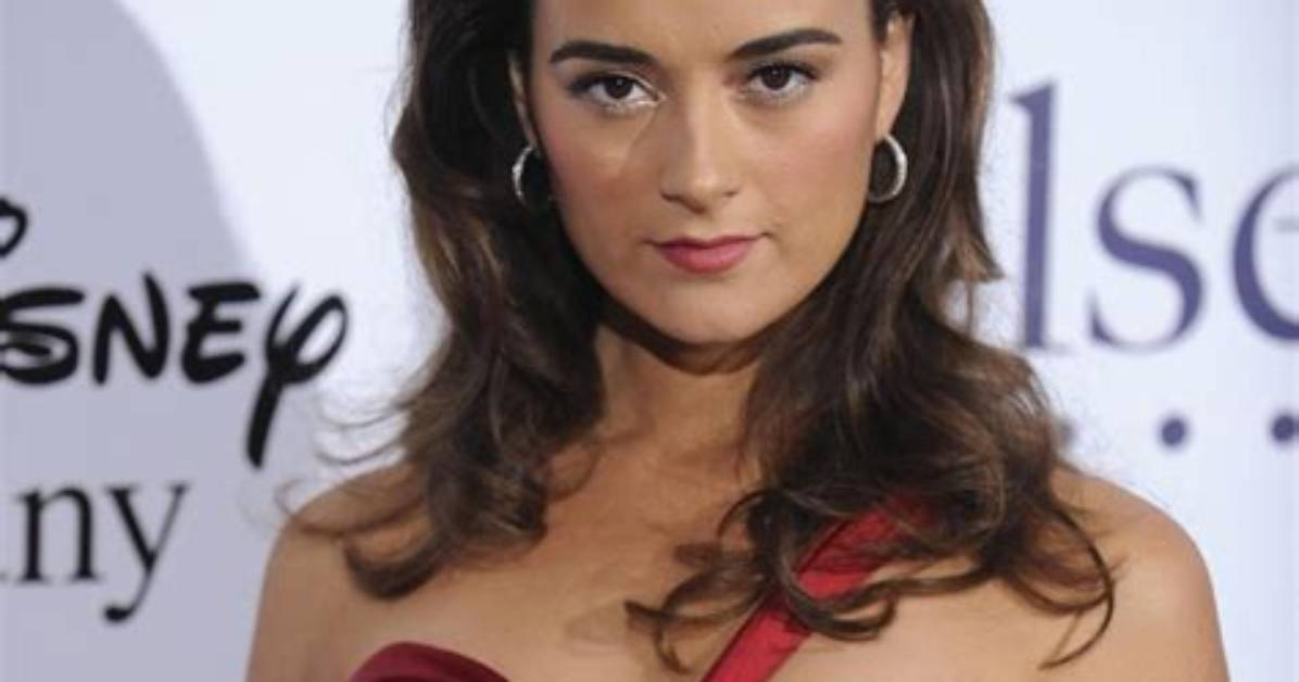 Unveiling the World of Cote De Pablo's Husband: Discoveries and Insights