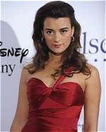 Unveiling the World of Cote De Pablo's Husband: Discoveries and Insights