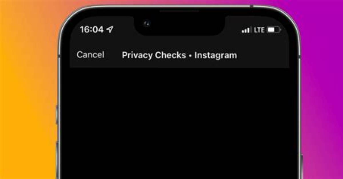 What Are Privacy Checks on Instagram? Here Is How to Fix the Error Message
