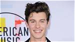 What Shawn Mendes Said About His Sexuality? Is He Gay or Bi?