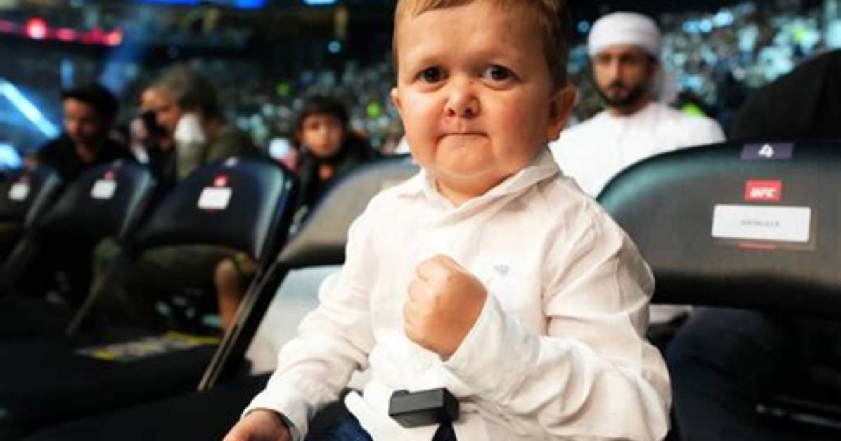 Who Is Hasbulla: the Enigmatic Internet Sensation