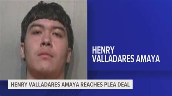 Who Is Henry Valladares-Amaya? Dmps Teenager Charged with Murder