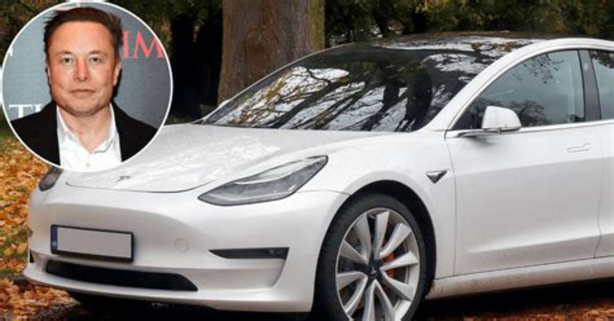 Who Is Jiyoung Yoon? Woman Sues Tesla After Model 3 Allegedly Explodes After Hitting Tree, Kills Husband