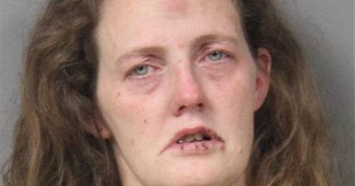 Who Is Judith Sobol? Michigan Nurse Charged with Murder for Being Under the Influence of Drugs While Toddler Died in Her Care