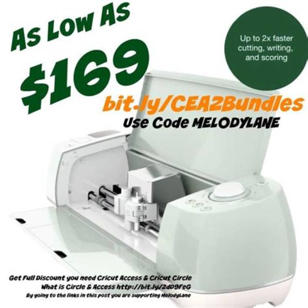 Who Is Melody Lane from Cricut? Product Expert Passed Away Recently, What Exactly Happened?