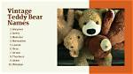 Who Is the Teddy Bear Named Bear After? Explore the History