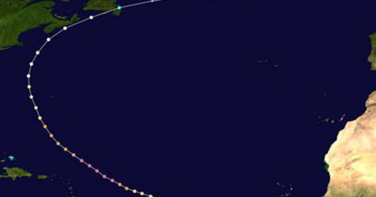 Wikipedia Unveils Her Path of Impact