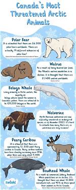 Yamals: Your Guide to the Arctic's Enigmatic Indigenous Peoples